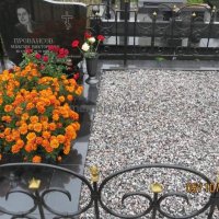 Цоколи и ограды